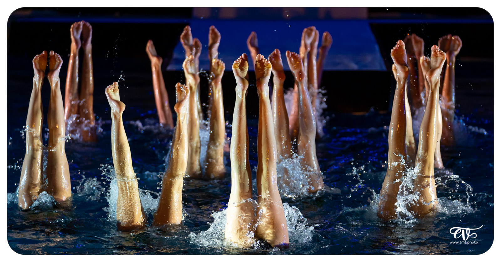 Le bns en mode haute couture 51743303740 o