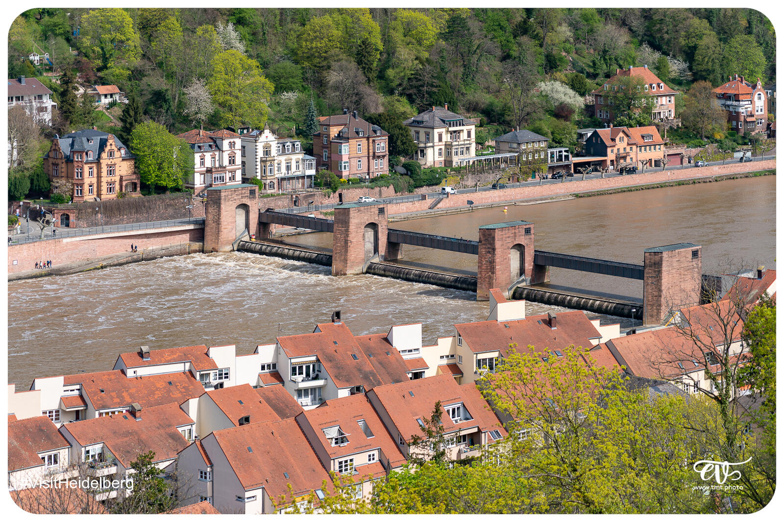 TMTPHOTO VISITHEIDELBERG 078