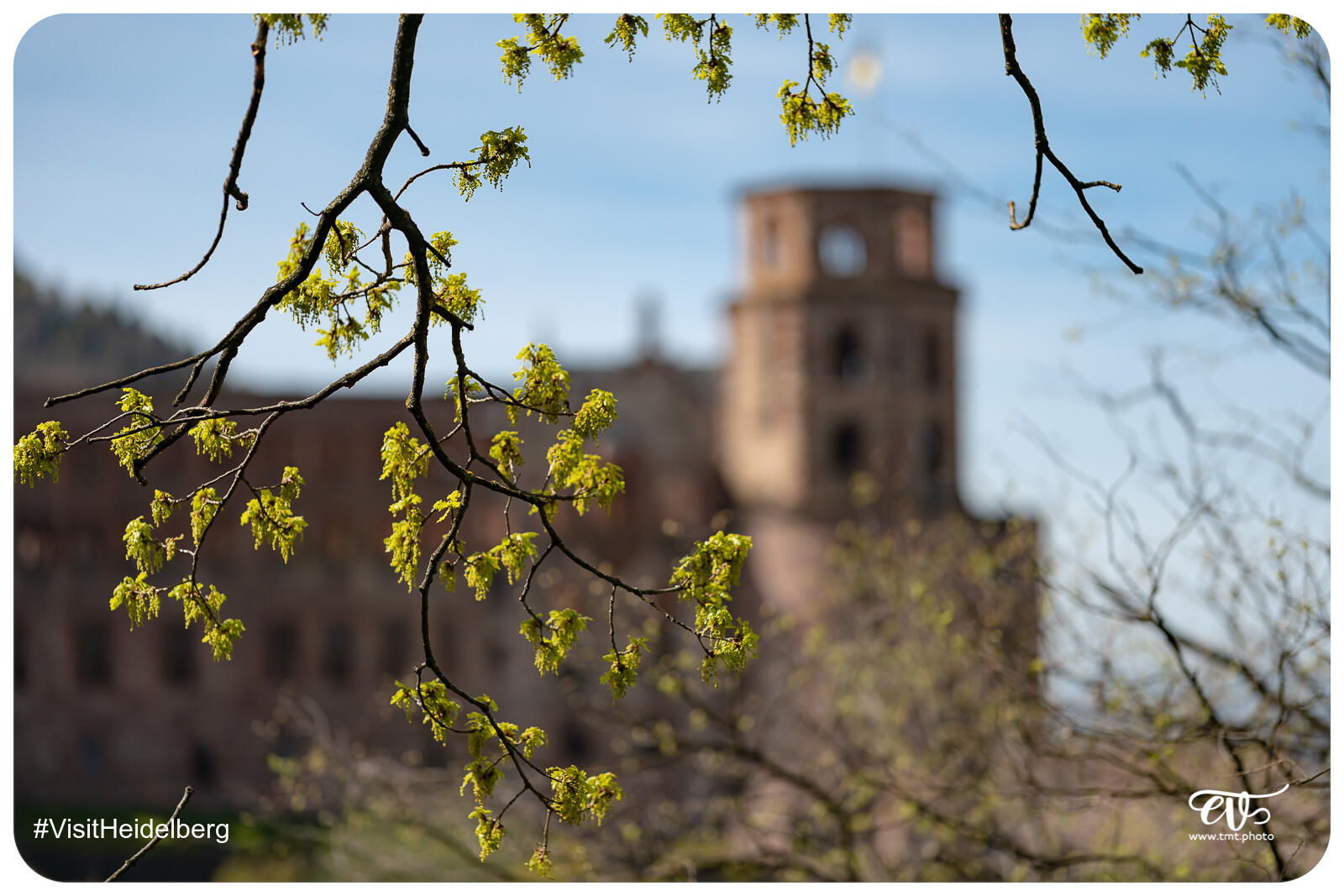 TMTPHOTO VISITHEIDELBERG 114