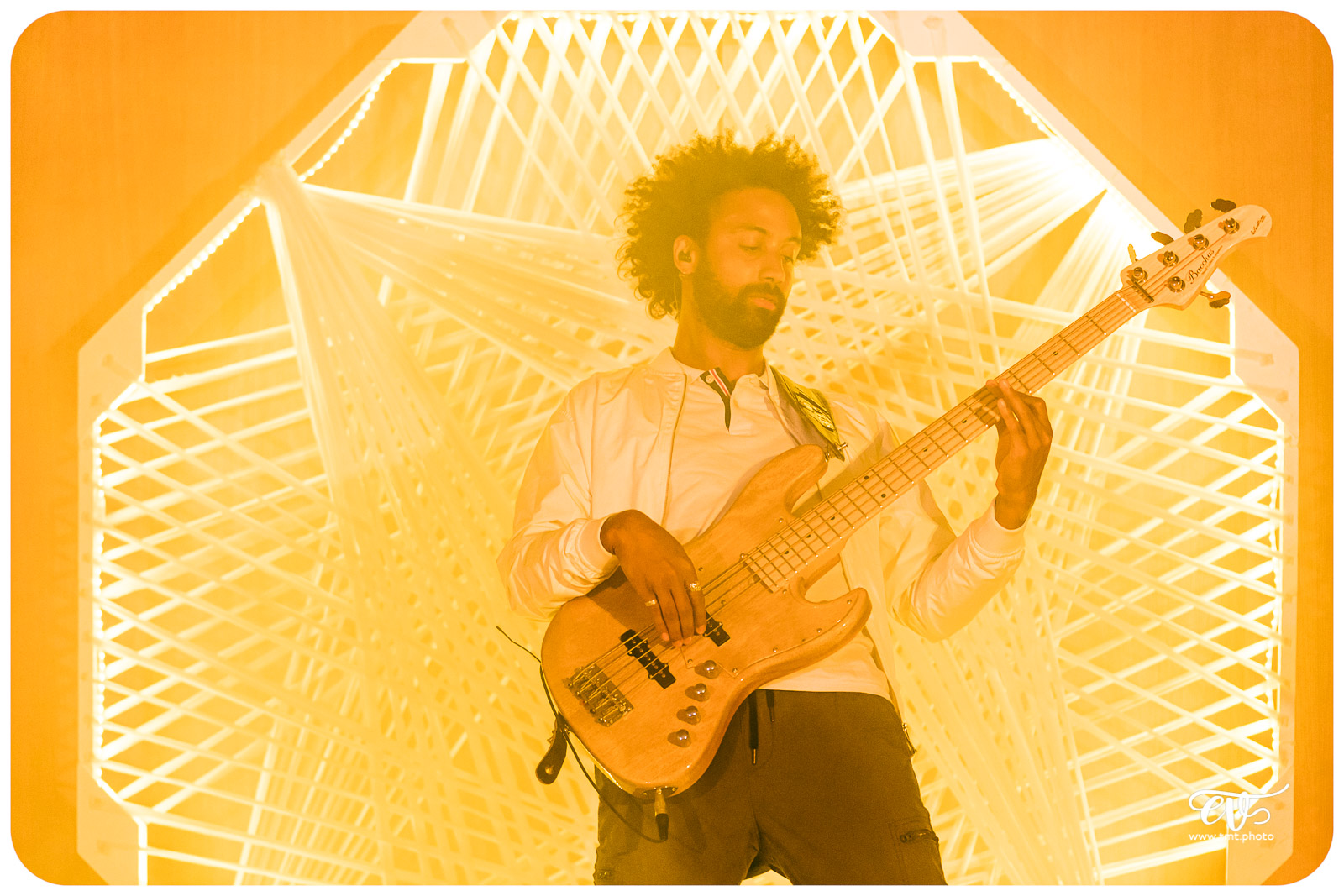 ZIMMIA (RELEASE PARTY ODYSSEY II)