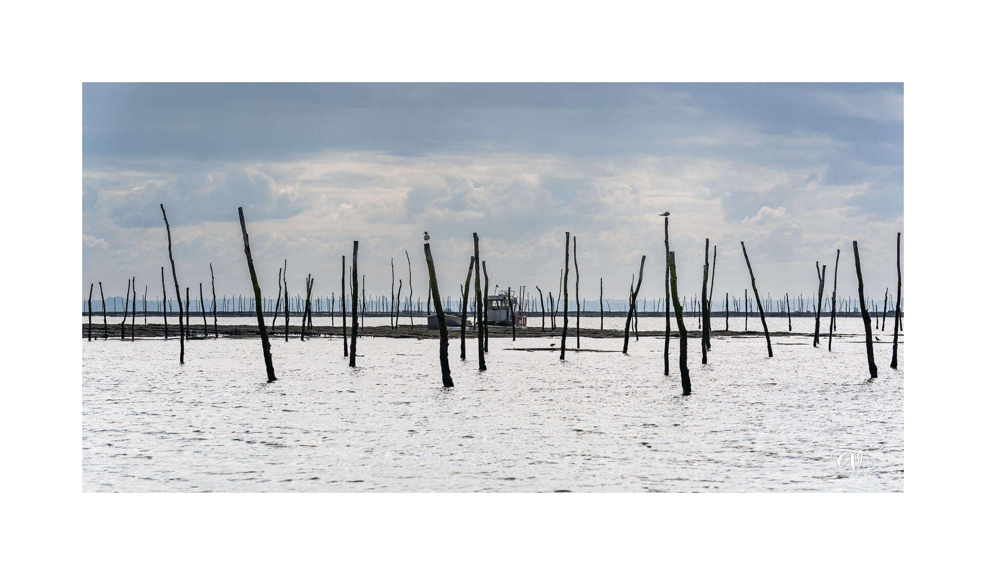 CARNET DE VOYAGES : BORDEAUX, ARCACHON