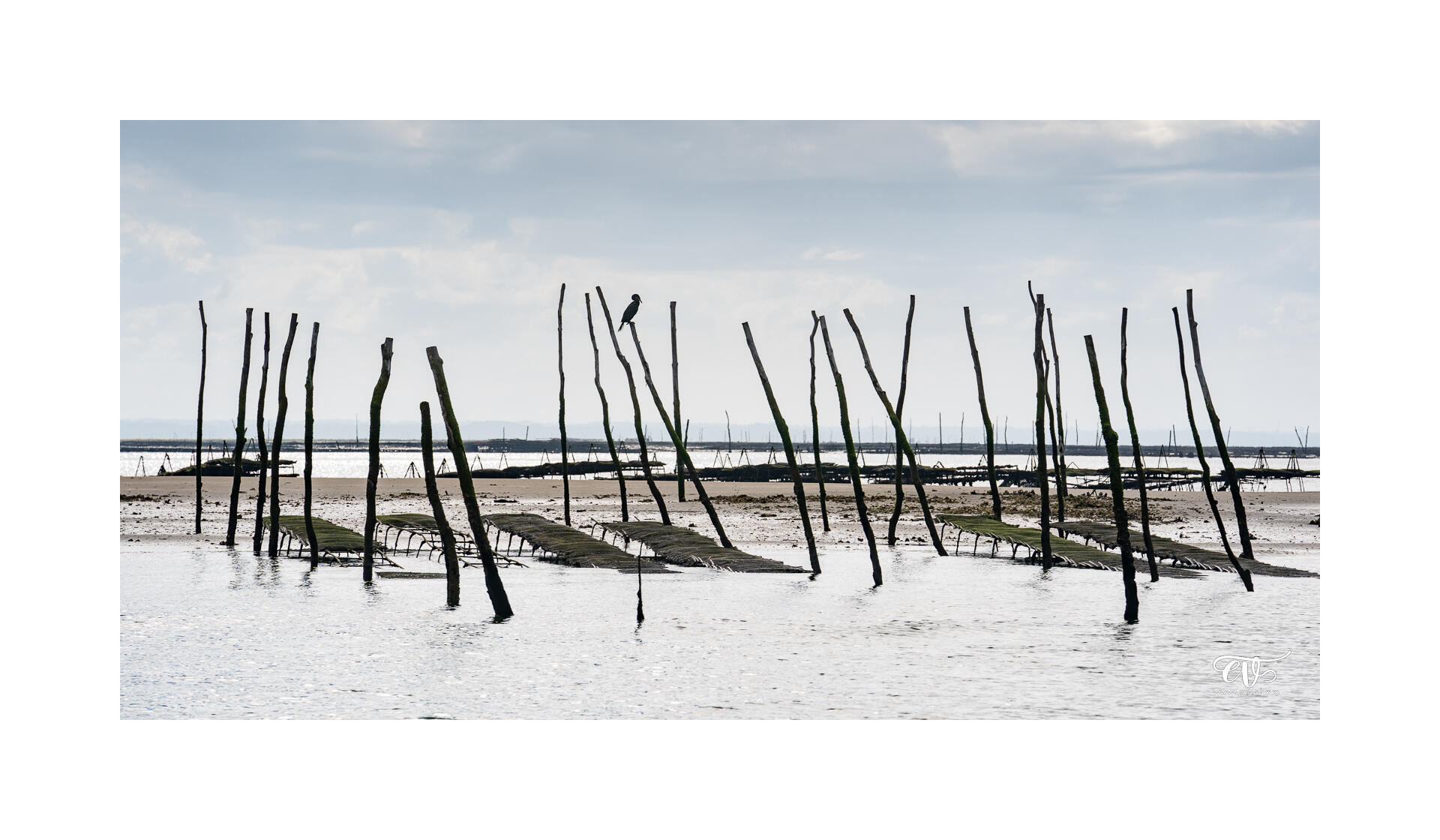 CARNET DE VOYAGES : BORDEAUX, ARCACHON