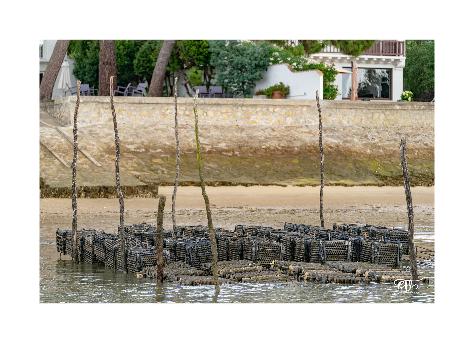 CARNET DE VOYAGES : BORDEAUX, ARCACHON