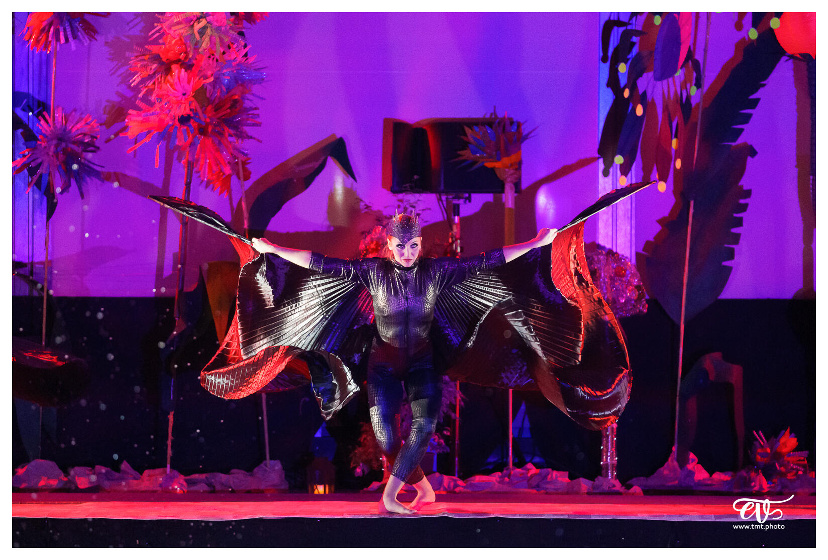 ILLUSIONS (BALLET NAUTIQUE DE STRASBOURG - BNS)