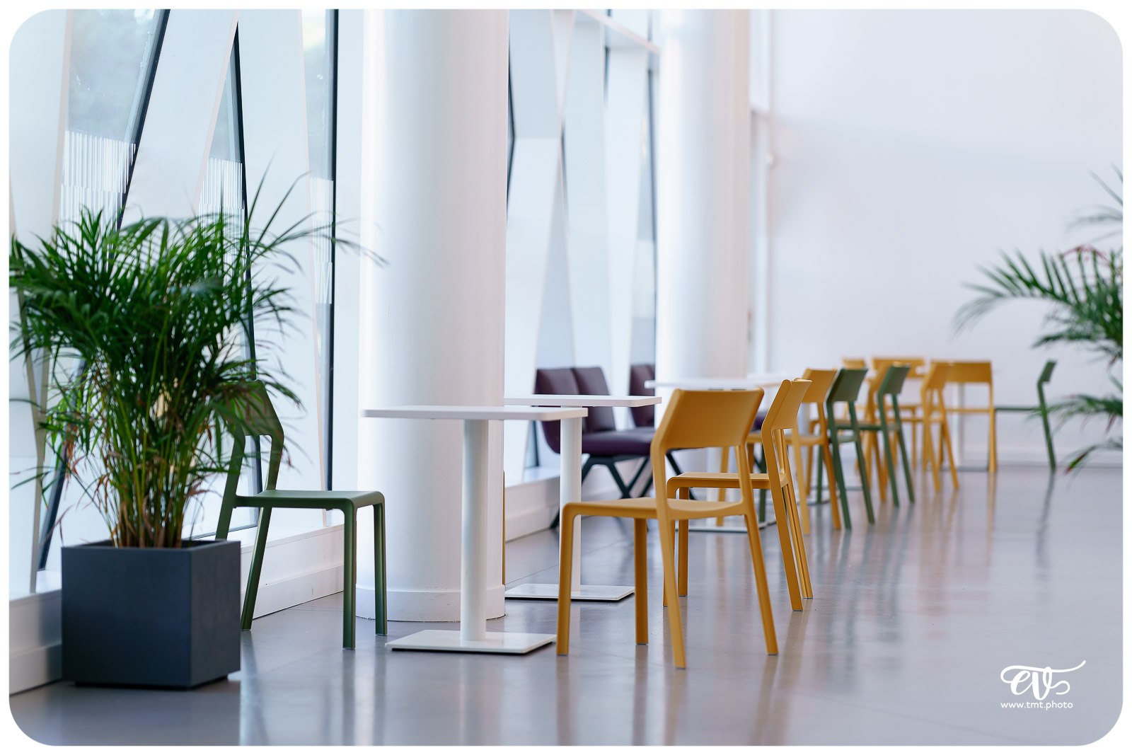 TWAPERO #32 AU STUDIUM